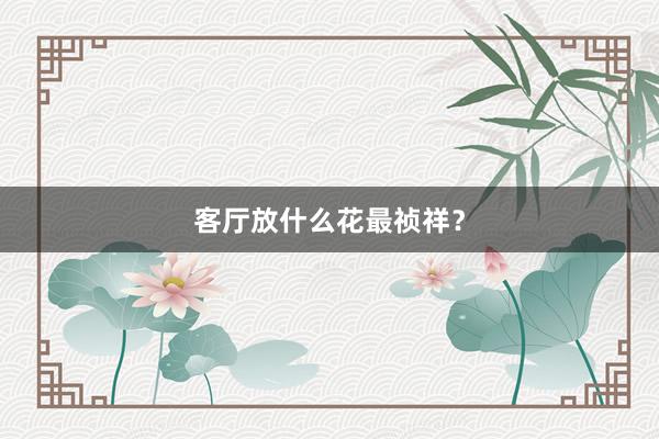 客厅放什么花最祯祥？